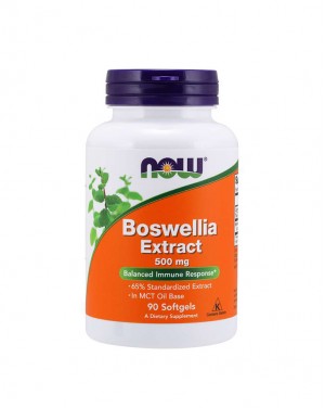 Boswellia Extract 500 mg