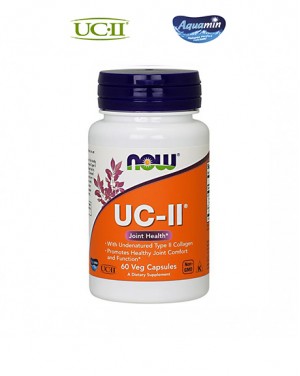 14. Collagen UC-II®