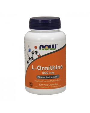 Desporto - l- ornitina (l-ornithine)