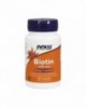 Biotina (vitamina h)