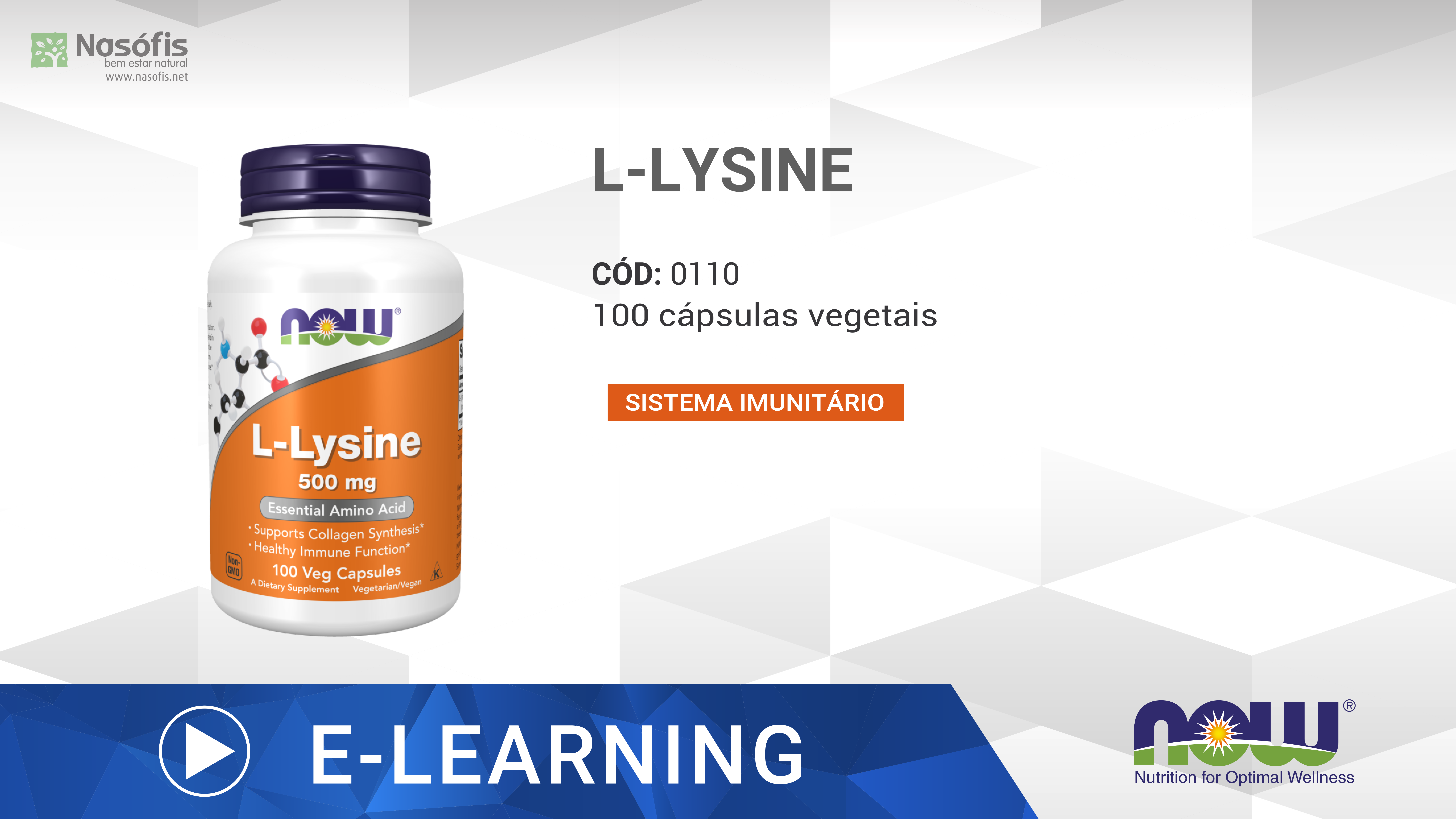 0110_L-Lysine 500 mg_pic.png