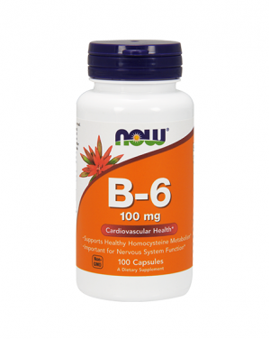 Vitamin B-6 100 mg