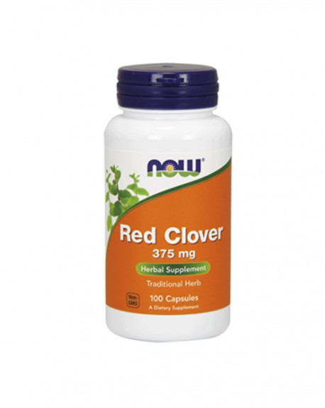 Red Clover (Trevo Vermelho)