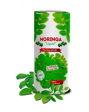 Moringa líquido