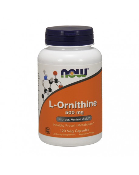 Desporto - l- ornitina (l-ornithine)